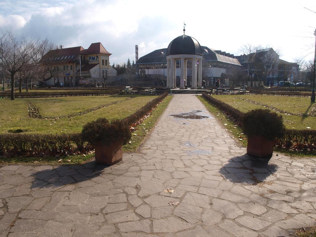 Evi Apartman Eger Buitenkant foto