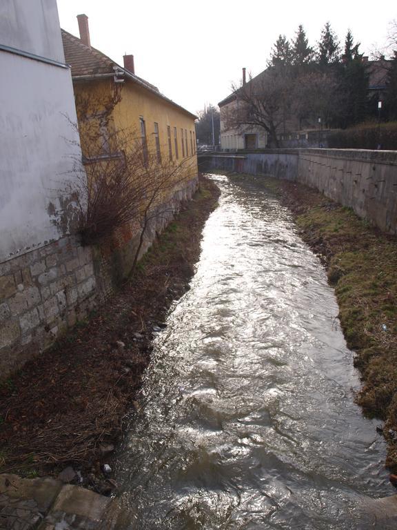 Evi Apartman Eger Buitenkant foto